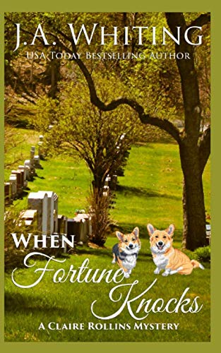 When Fortune Knocks book cover