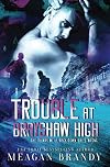 Trouble at Brayshaw High