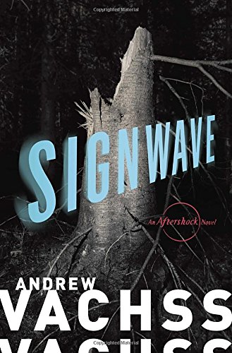 Signwave book cover