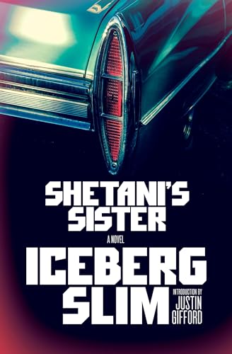 Shetani's Sister book cover
