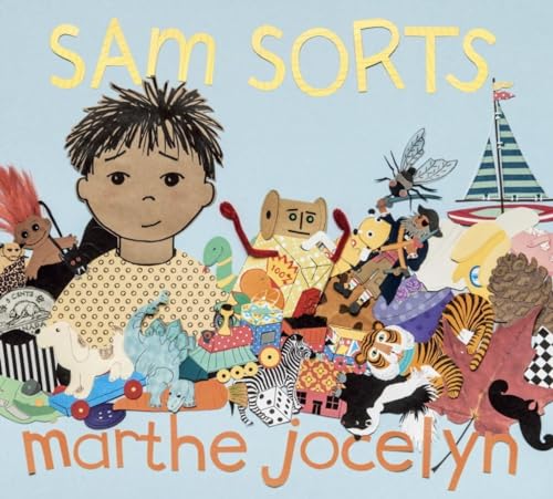 Sam Sorts book cover