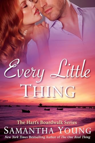 Every Little Thing book cover