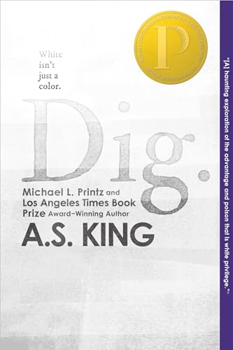 Dig book cover