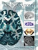 Basic Human Neuroanatomy A Clinically Oriented Atlas