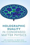Holographic Duality In Condensed Matter Physics