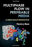Multiphase Flow In Permeable Media A Porescale Perspective
