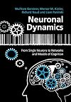 Neuronal Dynamics: From Single Neurons to Networks and Models of Cognition