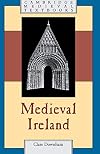Medieval Ireland (Cambridge Medieval Textbooks)