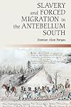 Slavery and Forced Migration in the Antebellum South