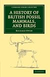A History of British Fossil Mammals and Birds