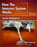How The Immune System Works