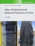 Atlas Of Natural And Induced Fractures In Core
