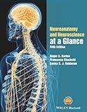 Neuroanatomy And Neuroscience At A Glance