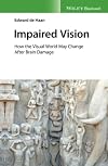 Impaired vision : how the visual world may change after brain damage