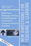 Big picture pedagogy : finding interdisciplinary solutions to common learning problems