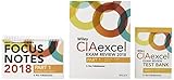 Wiley Ciaexcel Exam Review 2018 Test Bank Focus Notes Internal Audit Basics Set