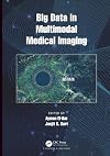 Big Data in Multimodal Medical Imaging