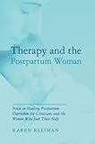 Therapy And The Postpartum Woman Notes On Healing Postpartum Depression For Clinicians And The Women Who Seek Their Help