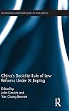 China's socialist rule of law reforms under Xi Jinping