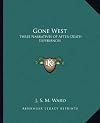 Gone West: Three Narratives of After-Death Experiences