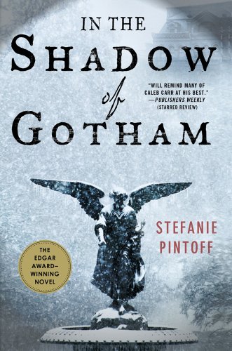 In the Shadow of Gotham book cover