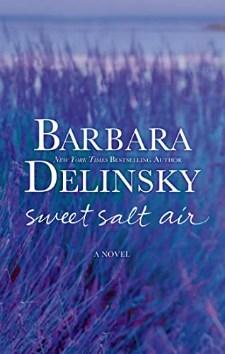 Sweet Salt Air book cover