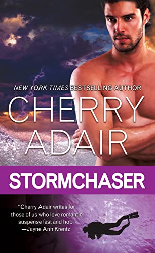 Stormchaser book cover