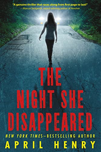 The Night She Disappeared book cover