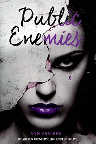 Public Enemies book cover