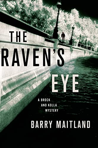 The Raven's Eye book cover