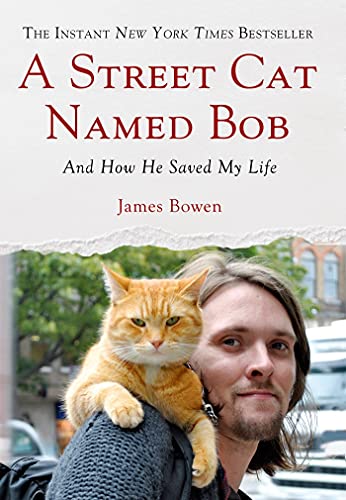 A Street Cat Named Bob book cover