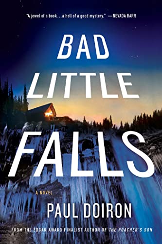 Bad Little Falls book cover