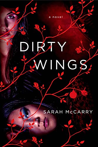 Cover of Dirty Wings