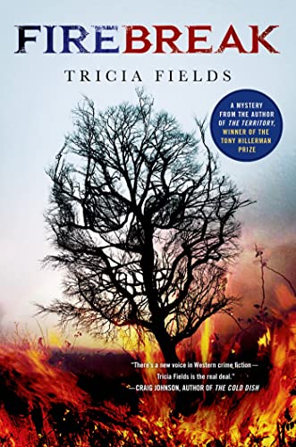 Firebreak book cover
