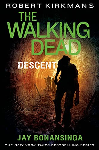 Descent book cover