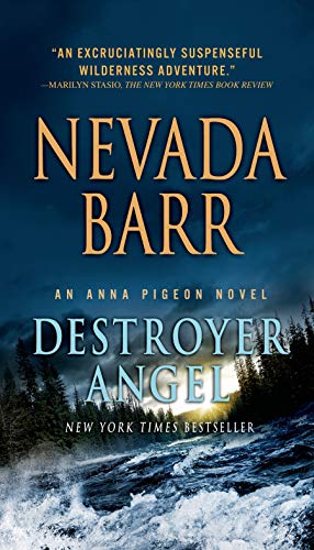 Destroyer Angel book cover