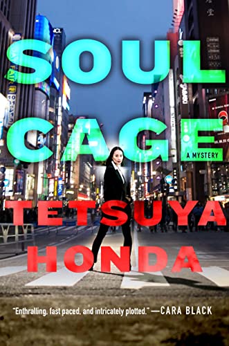 Soul Cage book cover