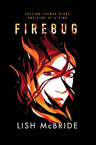 Firebug book cover