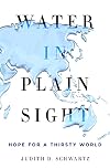 Water in Plain Sight: Hope for a Thirsty World