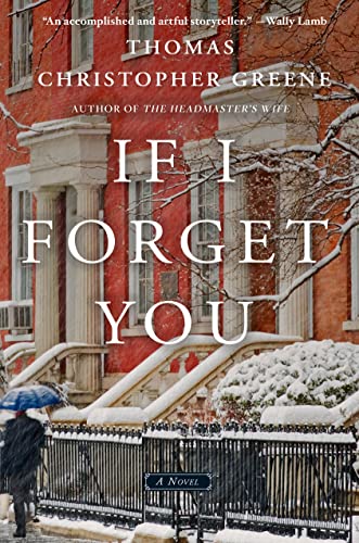 If I Forget You book cover
