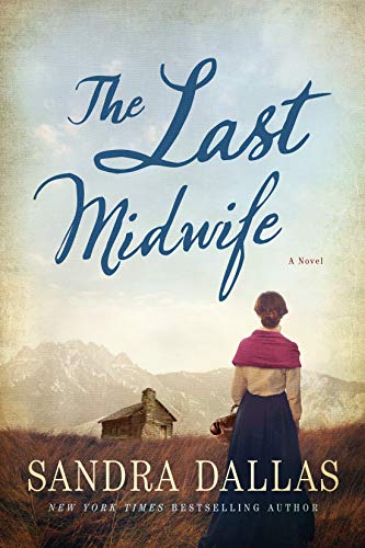 The Last Midwife book cover