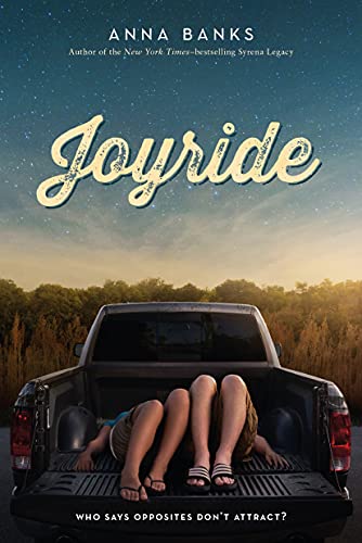 Joyride book cover