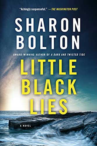 Little Black Lies book cover