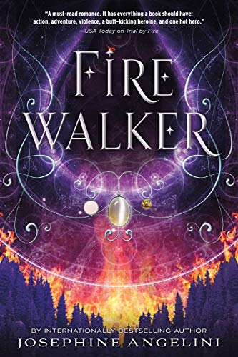 Firewalker book cover