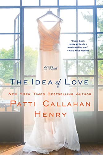 The Idea of Love book cover