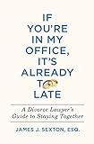 If Youre In My Office Its Already Too Late A Divorce Lawyers Guide To Staying Together