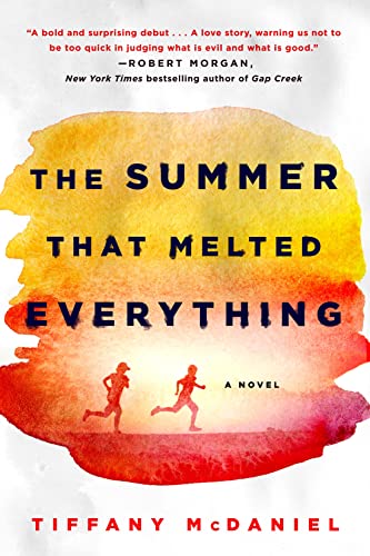 The Summer That Melted Everything book cover