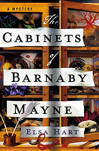 The Cabinets of Barnaby Mayne book cover