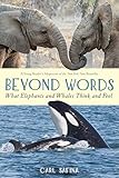 Beyond Words What Elephants And Whales Think And Feel