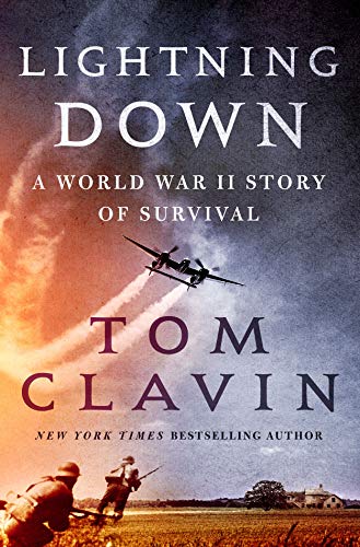 Lightning Down book cover